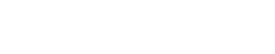 Tursay Turizm — Güvenli Taşımacılık